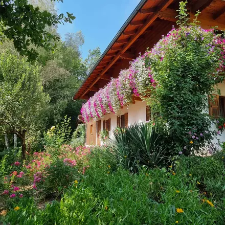 farbenfrohe Gartenpflege